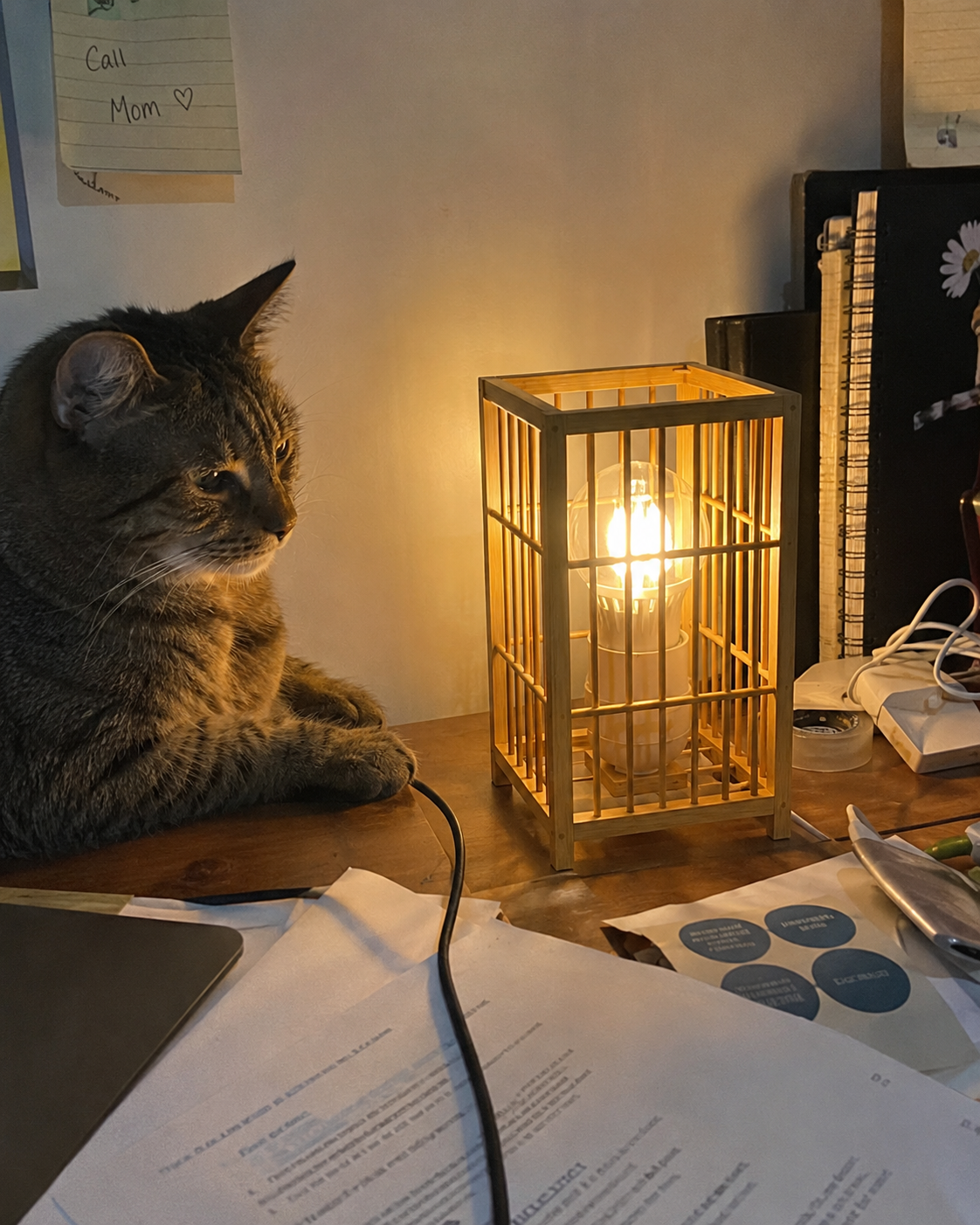 Shoji | Bamboo Lantern Table Lamp