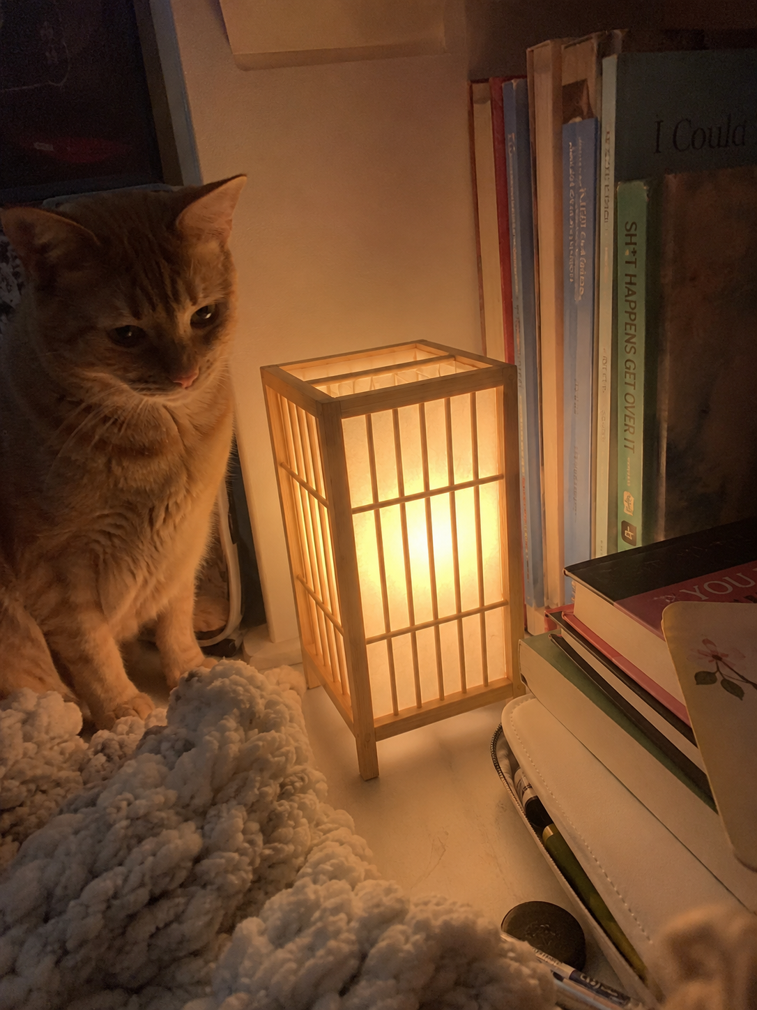 Shoji | Bamboo Lantern Table Lamp