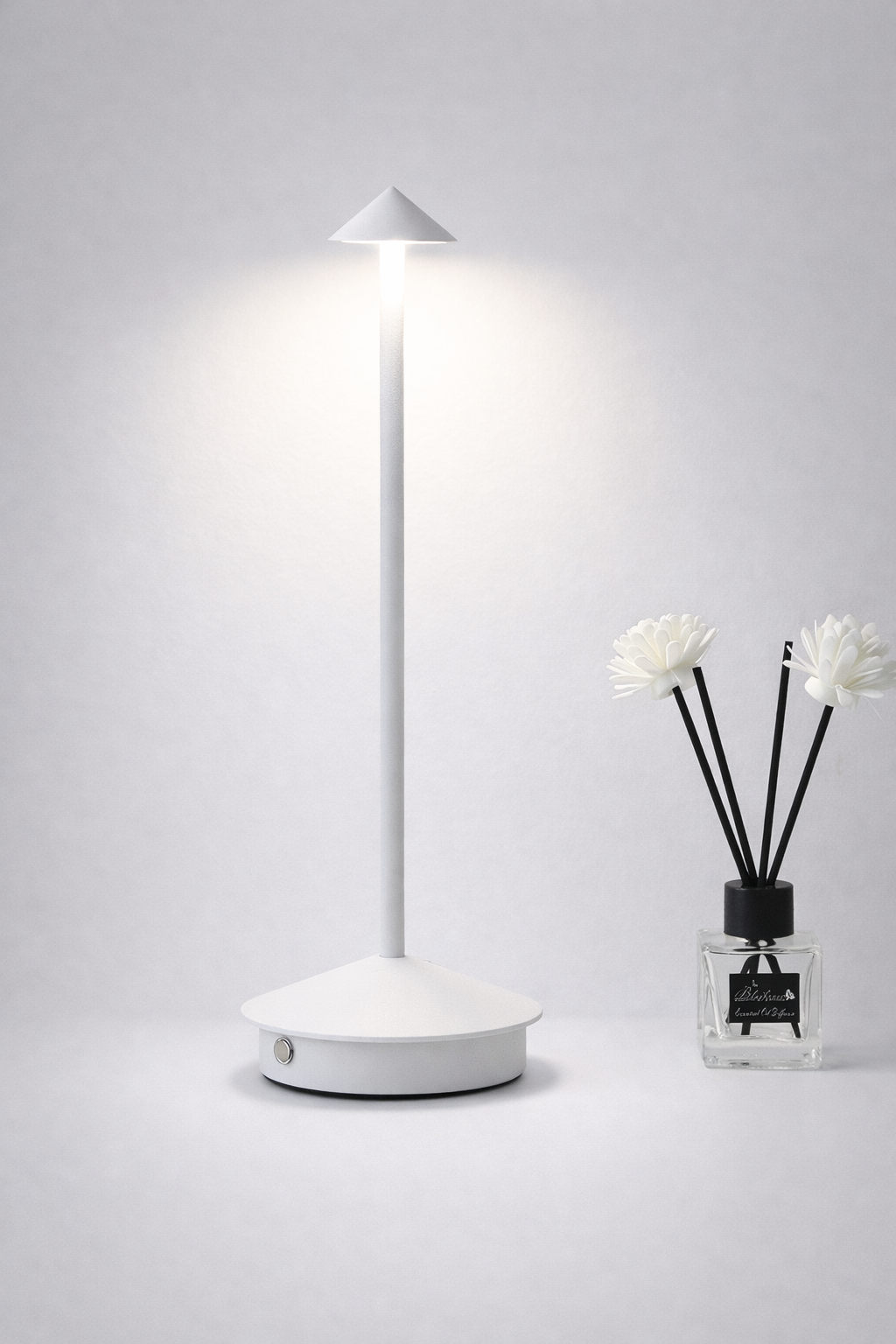 Modern Minimalist LED Table Decor Lamp