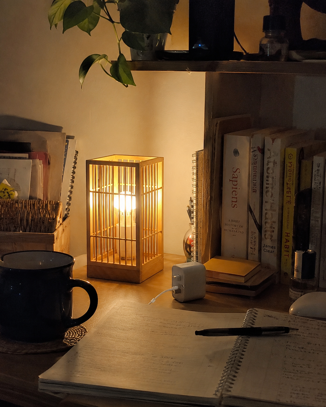 Kago | Bamboo Cage Table Lamp