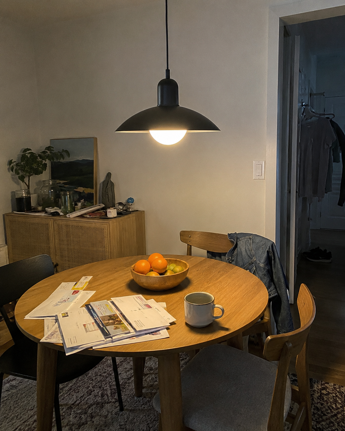 Arlo | Retro Two-Tone Dome Pendant Light