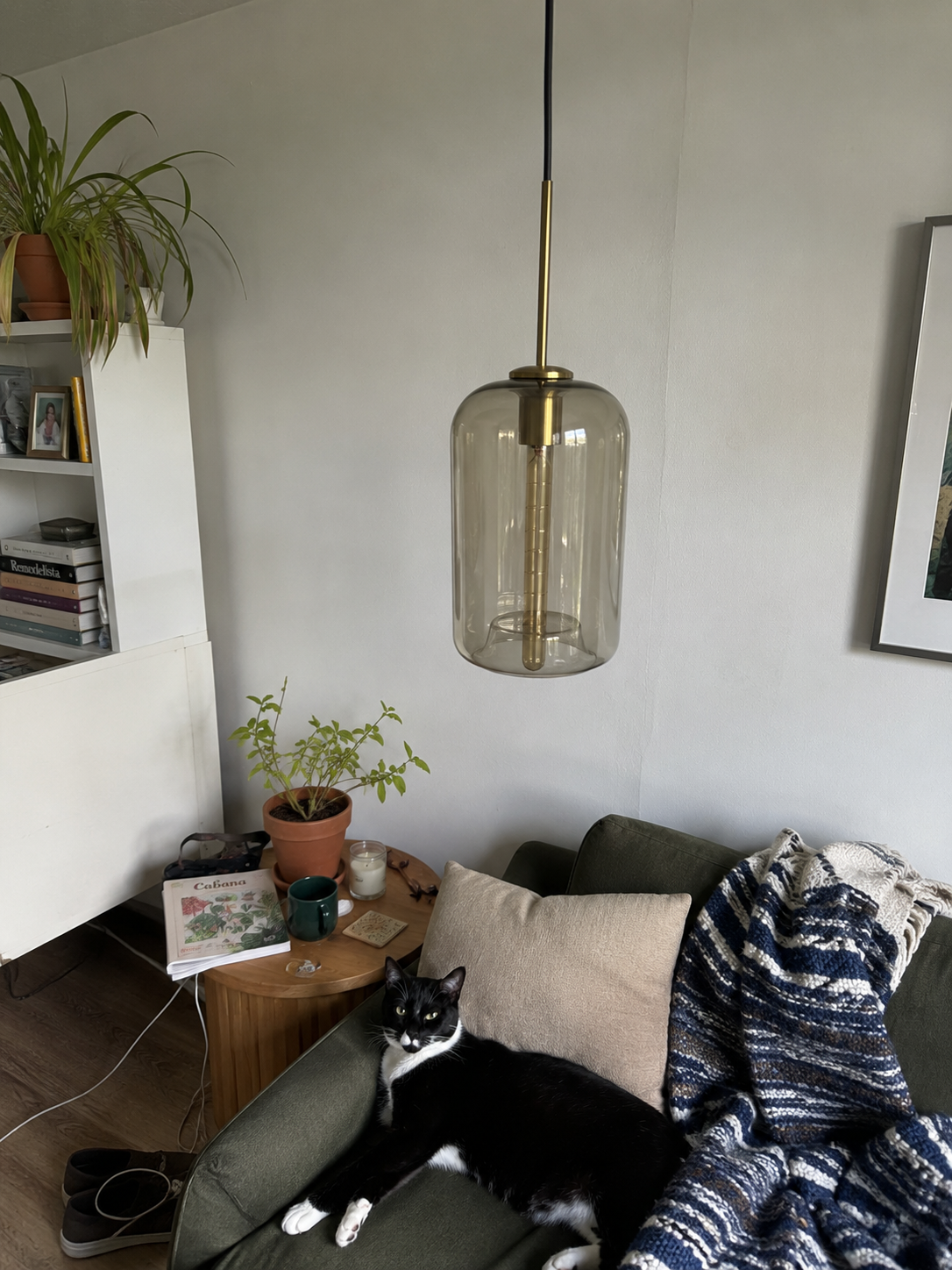 Vela | Cognac Glass Cylinder Pendant Light