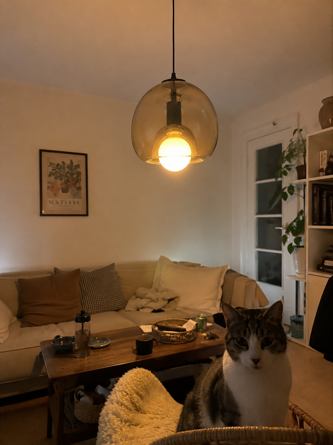 Mist | Glass Globe Pendant Light