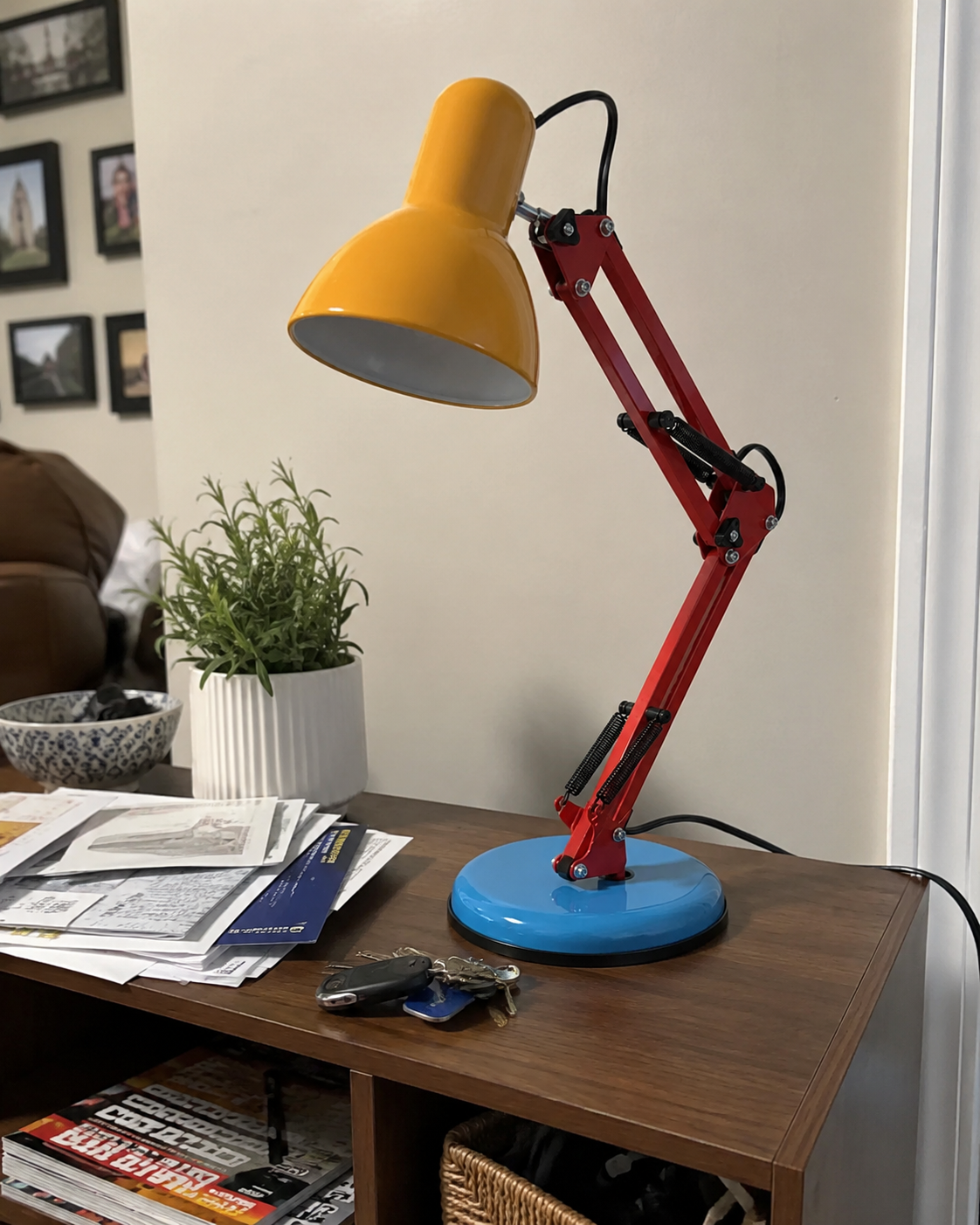 Scout | Adjustable Arm Study Lamp