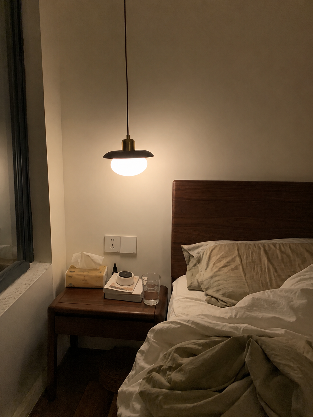 Sol | Nordic Glass Globe Pendant Light