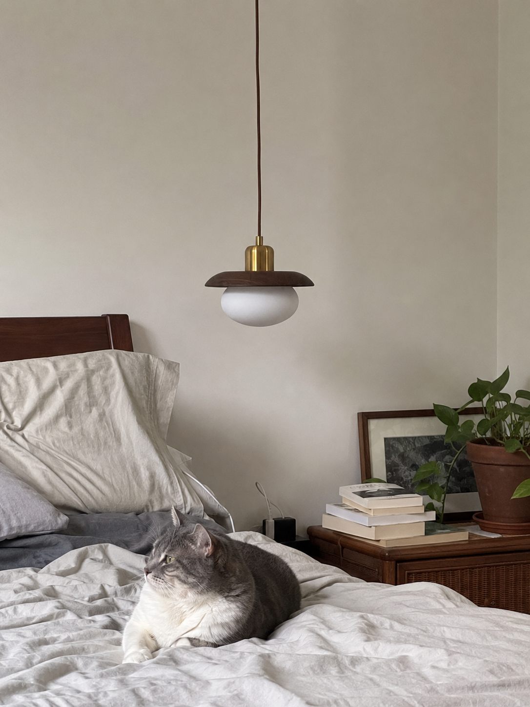 Sol | Nordic Glass Globe Pendant Light