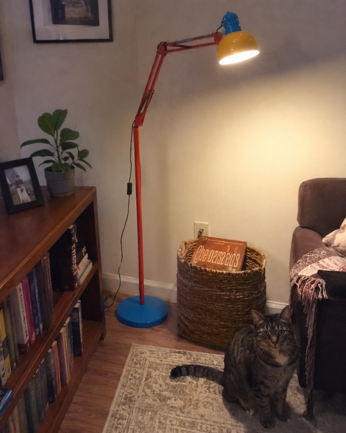 Remy | Articulating Task Floor Lamp