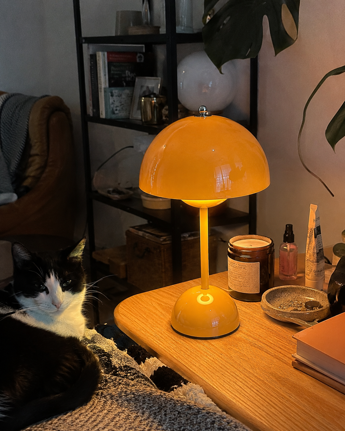 Ada | Mushroom Dome Cordless Table Lamp