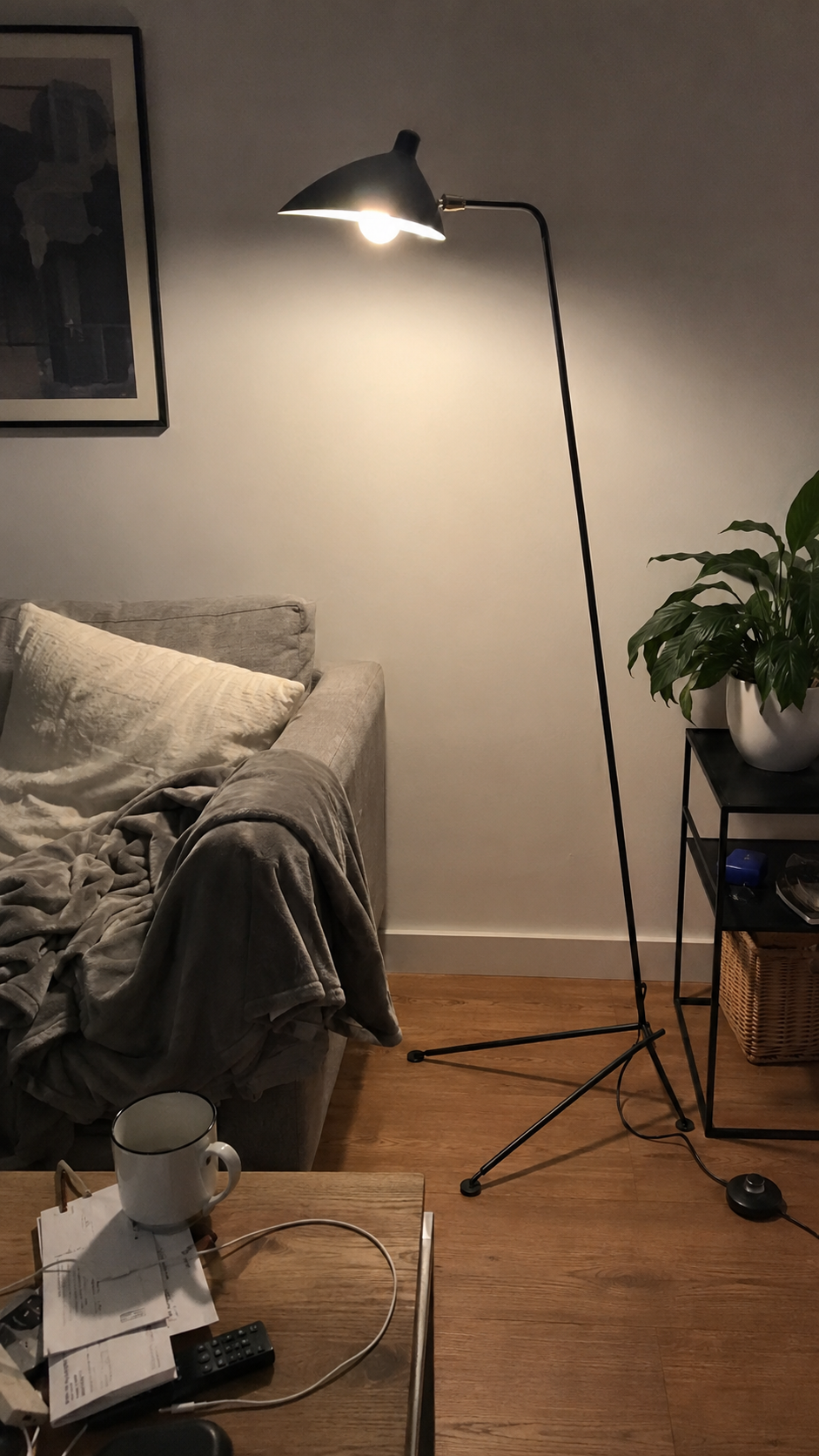 Silas | Tripod Floor Lamp