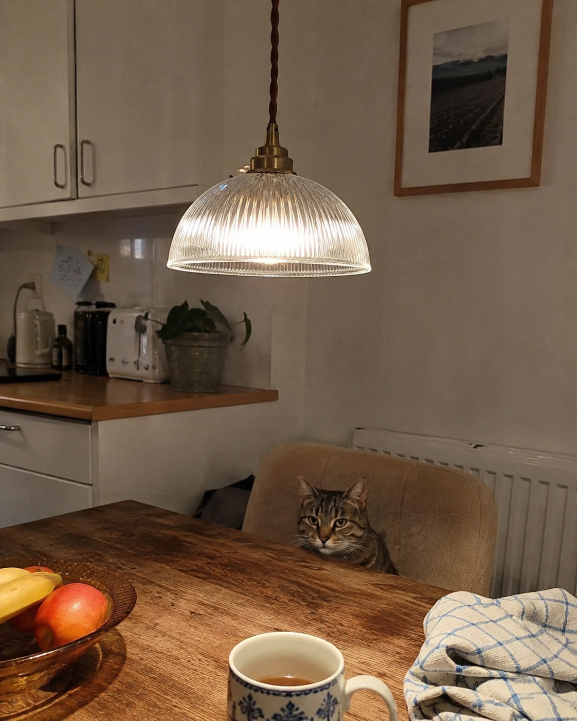 Coralie | Ribbed Glass Dome Pendant