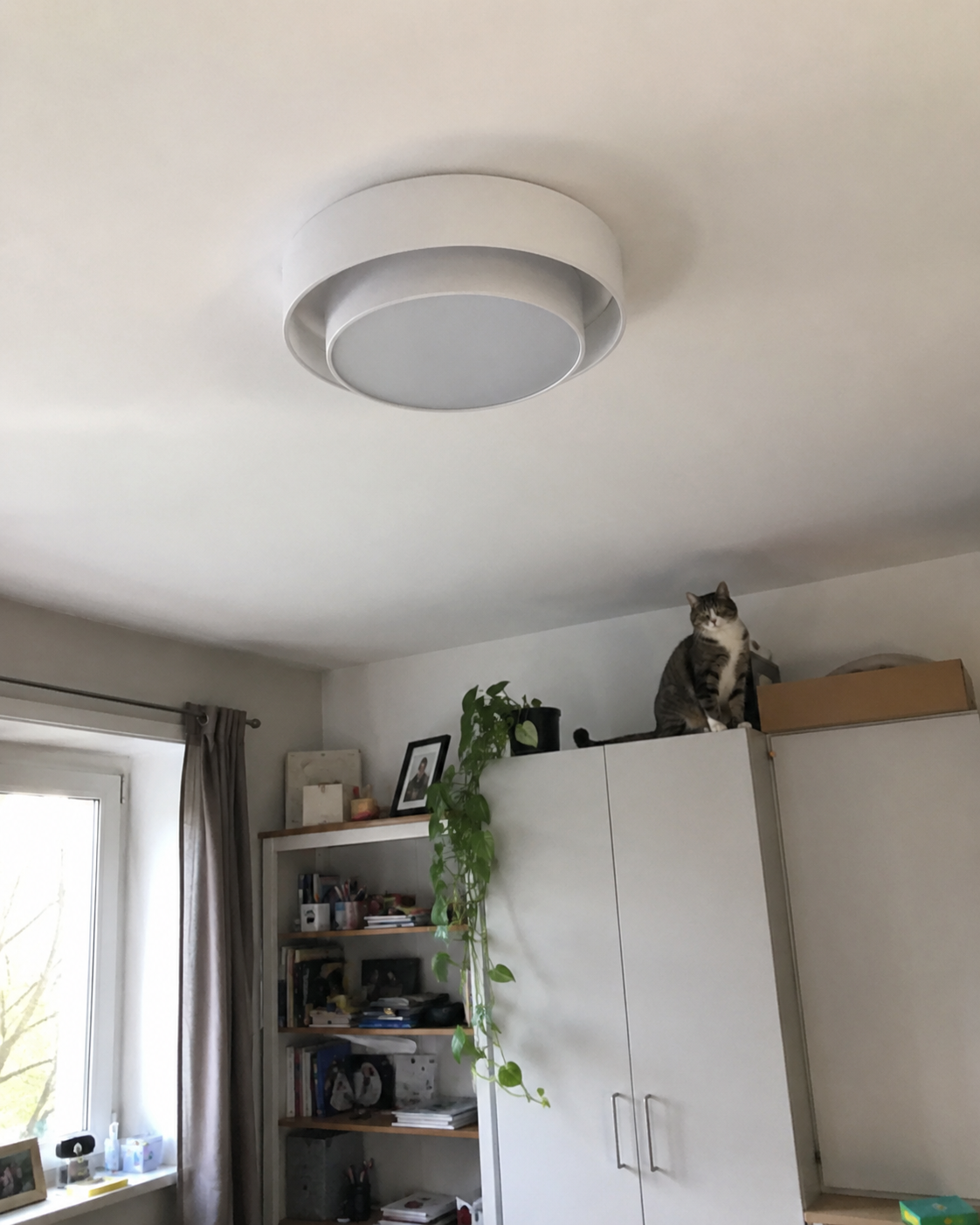 Finn | Layered Disc Flush Mount
