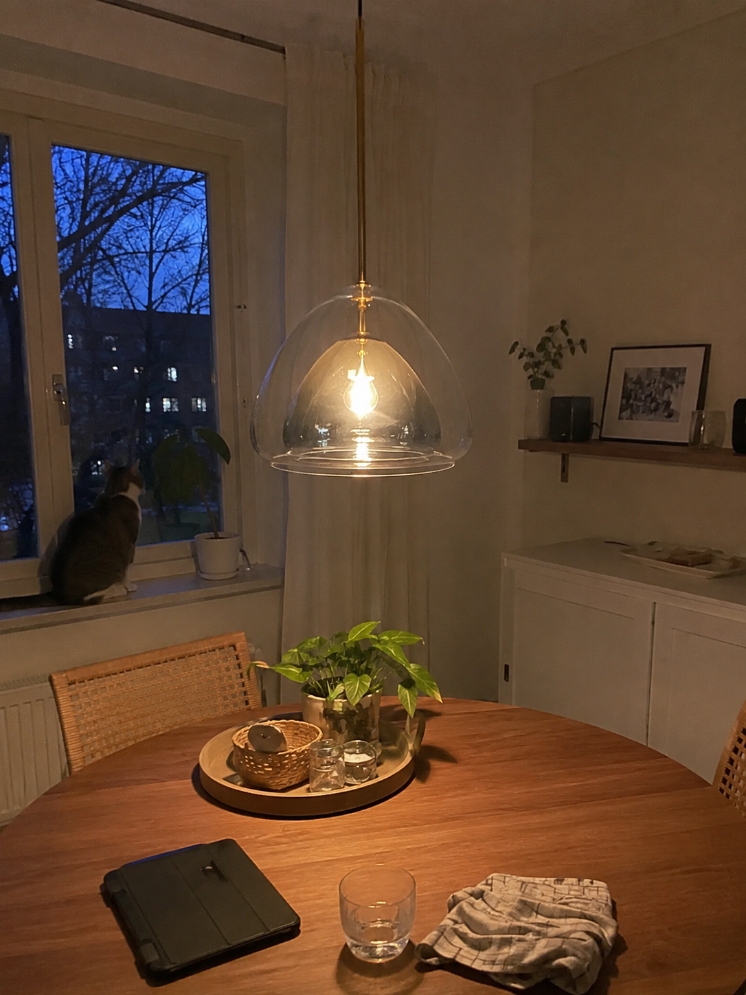 Delphine | Double-Shell Glass Pendant