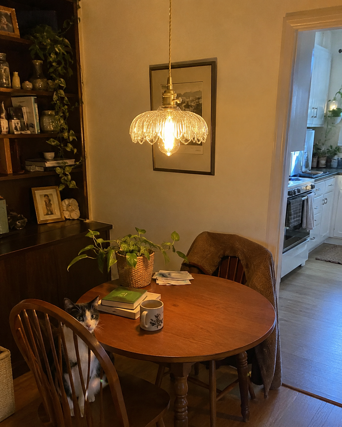 Marguerite | Cafe Glass Pendant