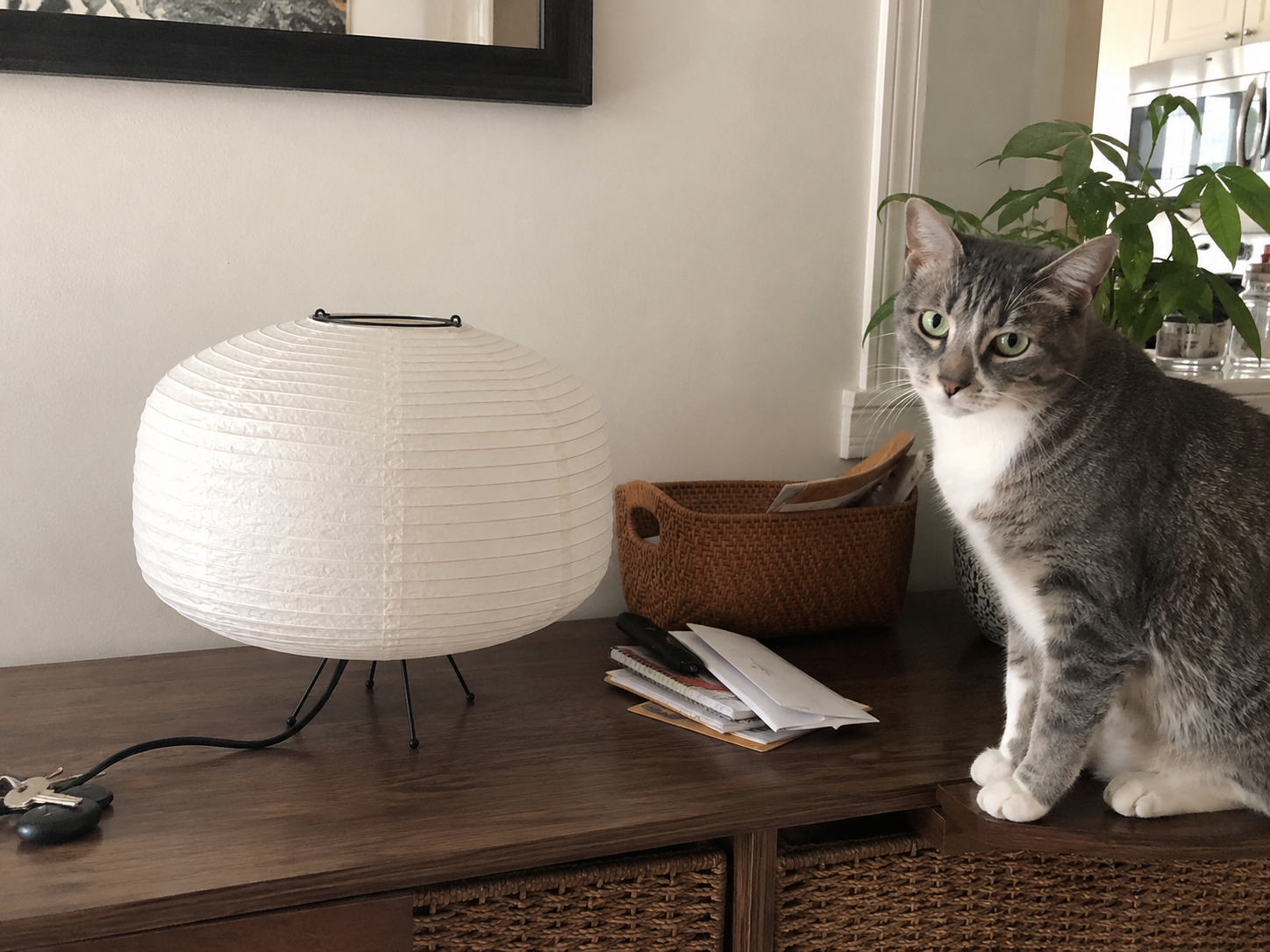 Kenji | Japanese Paper Table Lamp