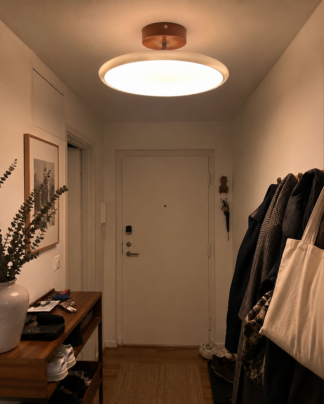 Sora | Modern Flush Mount Ceiling Light