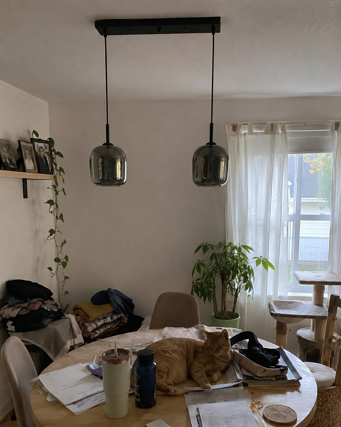 Haze | Smoked Glass Pendant Light