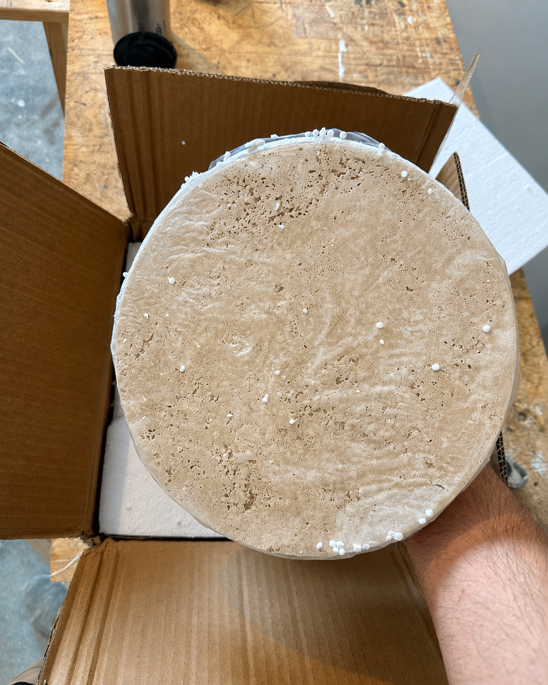 Mira | Round Travertine Wall Sconce