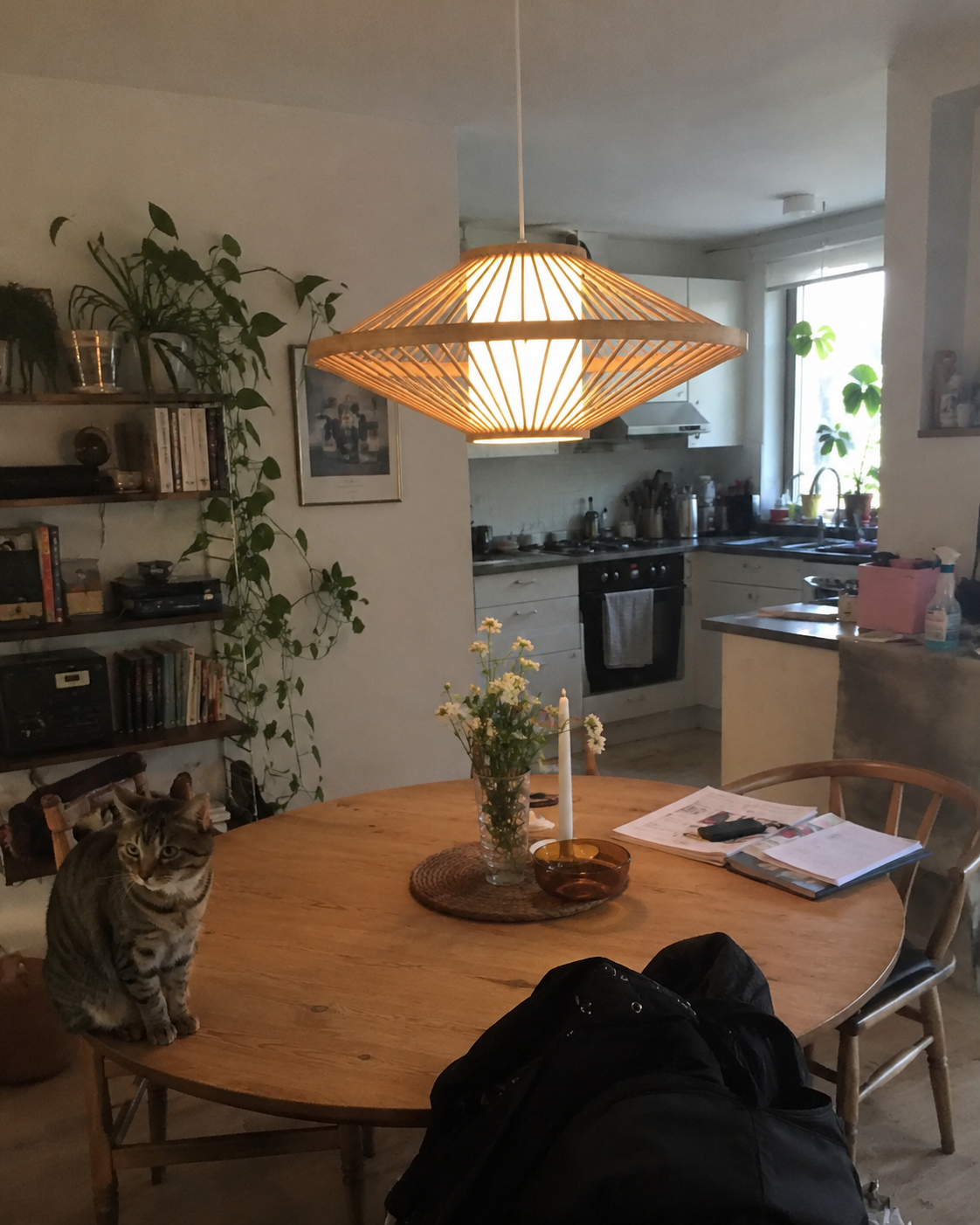 Kasa | Japanese Bamboo Pendant Light