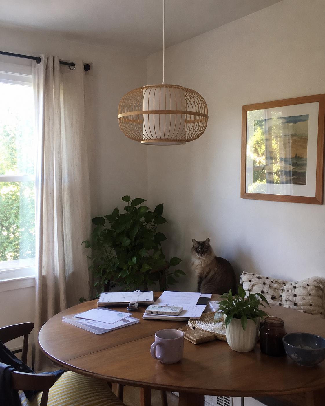 Taru | Japanese Bamboo Pendant Light