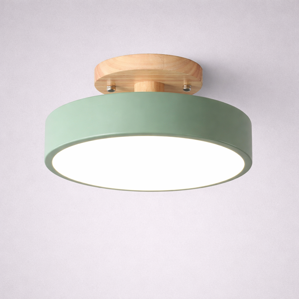 Ceiling Fixtures
