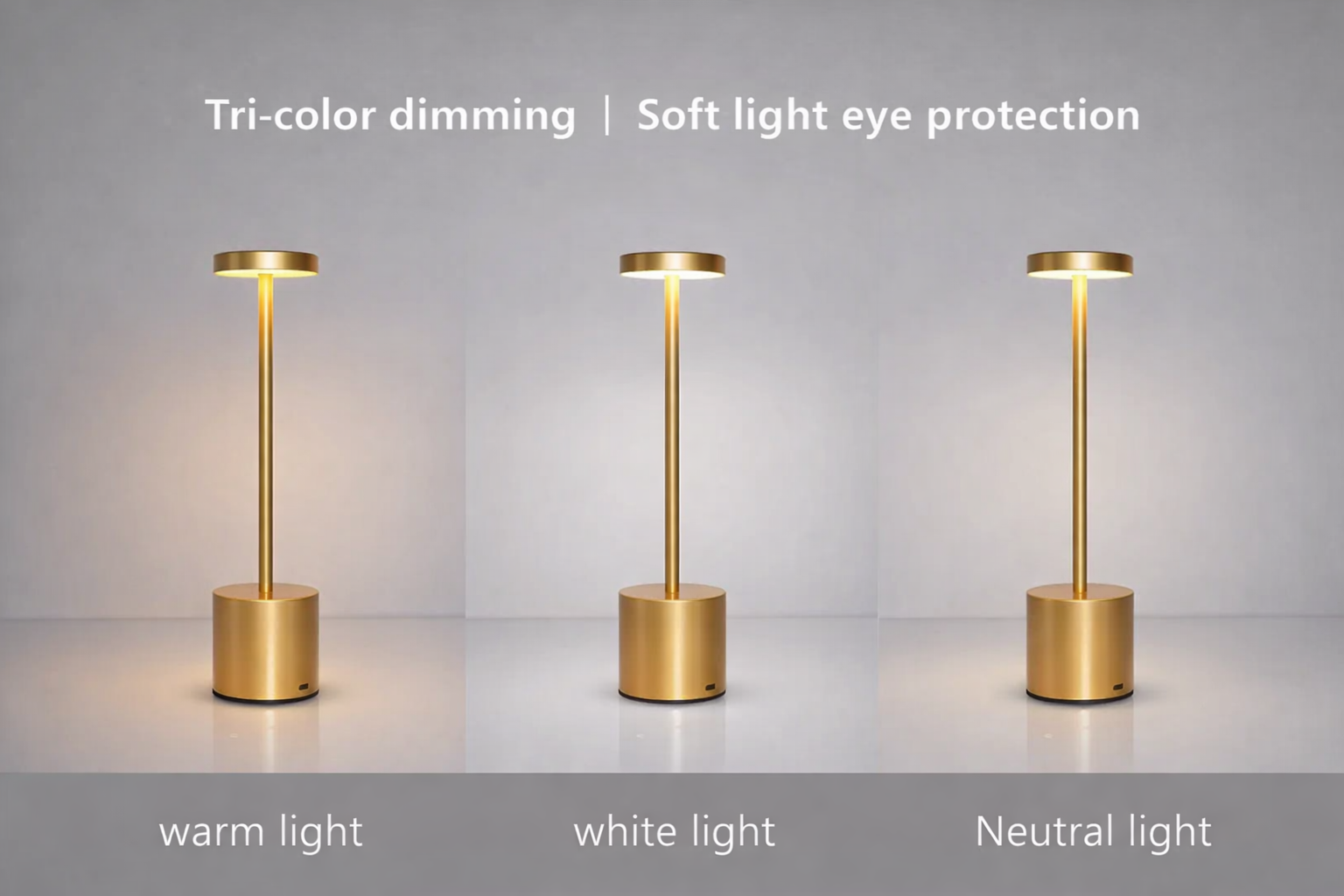 Modern LED Desk Lamp with USB Rechargeable Battery