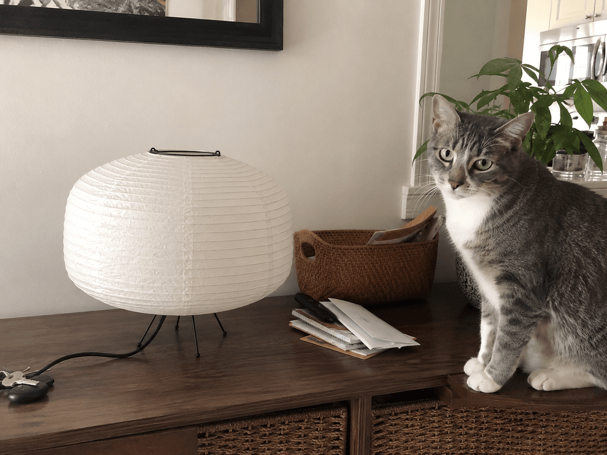Kenji | Japanese Paper Table Lamp - Luma House