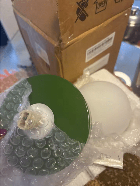 Rosalie | Macaron Sphere Glass Wall Sconce - Luma House