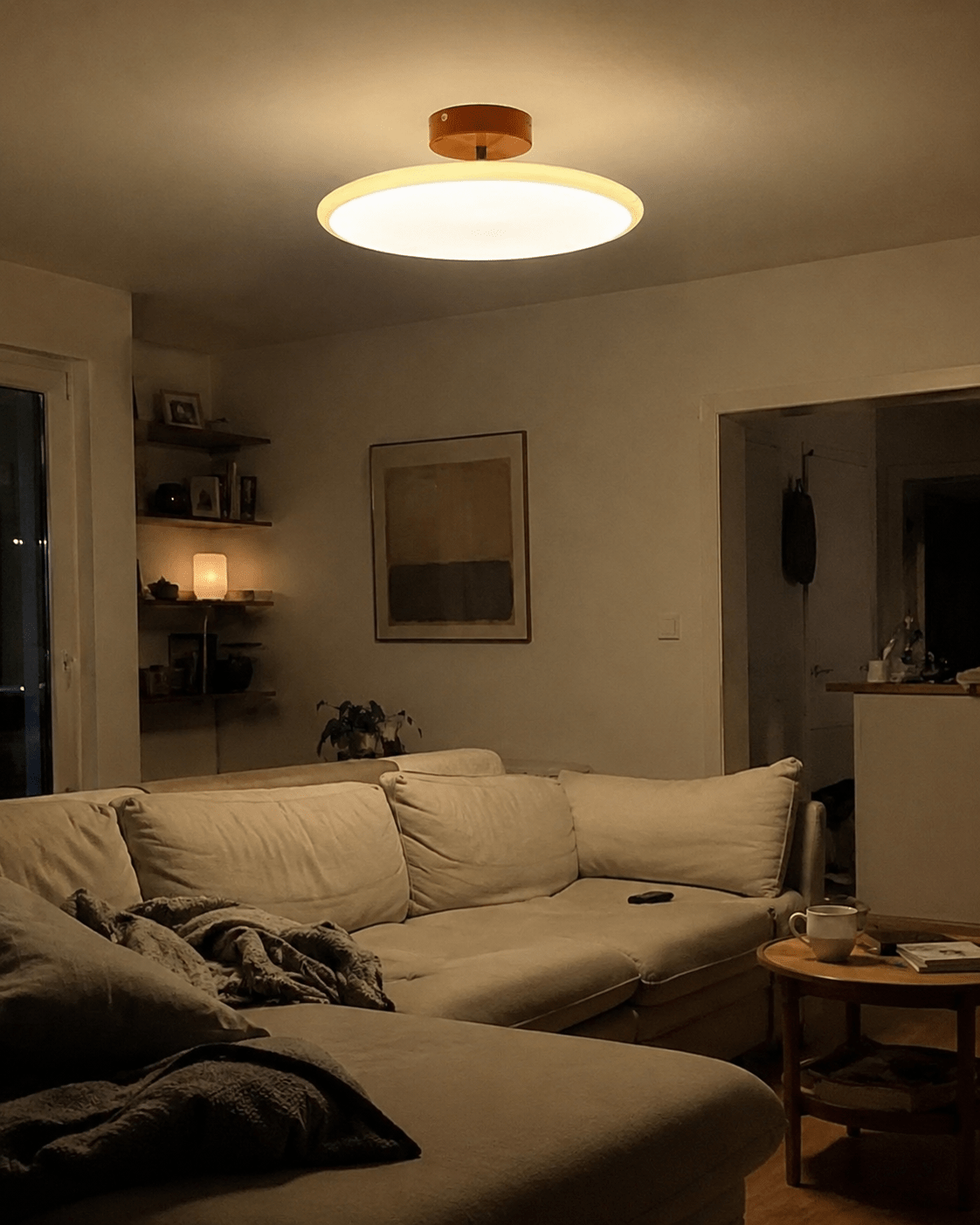 Sora | Modern Flush Mount Ceiling Light - Luma House